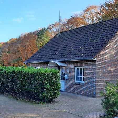 Villa "Am Waldesrand" Re16 Sögel Exterior foto